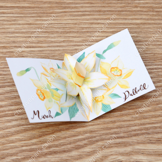 豆本 フラワー ミニチュアの世界 おもちゃ ペーパークラフト Canon Creative Park