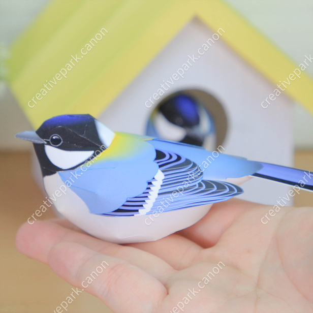 シジュウカラと巣箱セット - かわいい動物シリーズ - 動物