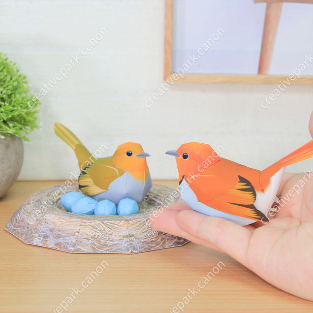 コマドリと巣のセット - かわいい動物シリーズ - 動物