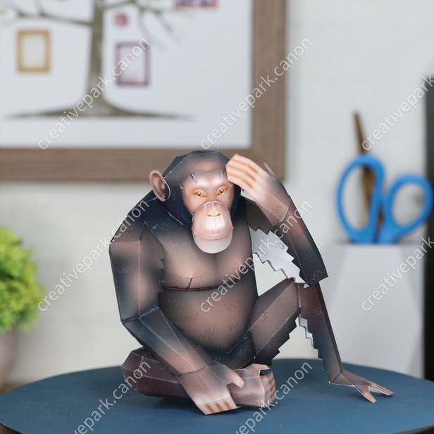 チンパンジー (オス, 座り) - アフリカ - リアルクラフト/動物