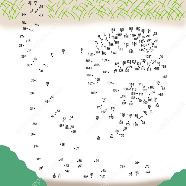 器のはなし】でかい。そして重い。よって、一度や二度しか使った