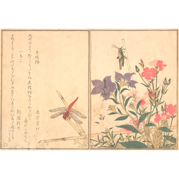 赤とんぼ - 喜多川歌麿 - 日本画 - 名画 - Canon Creative Park